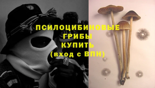 ПСИЛОЦИБИНОВЫЕ ГРИБЫ Арсеньев