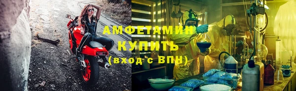 ПСИЛОЦИБИНОВЫЕ ГРИБЫ Арсеньев