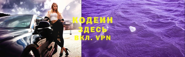 ПСИЛОЦИБИНОВЫЕ ГРИБЫ Арсеньев