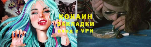 крисы Аркадак