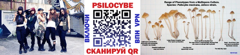 Псилоцибиновые грибы MAGIC MUSHROOMS  Нижний Тагил 