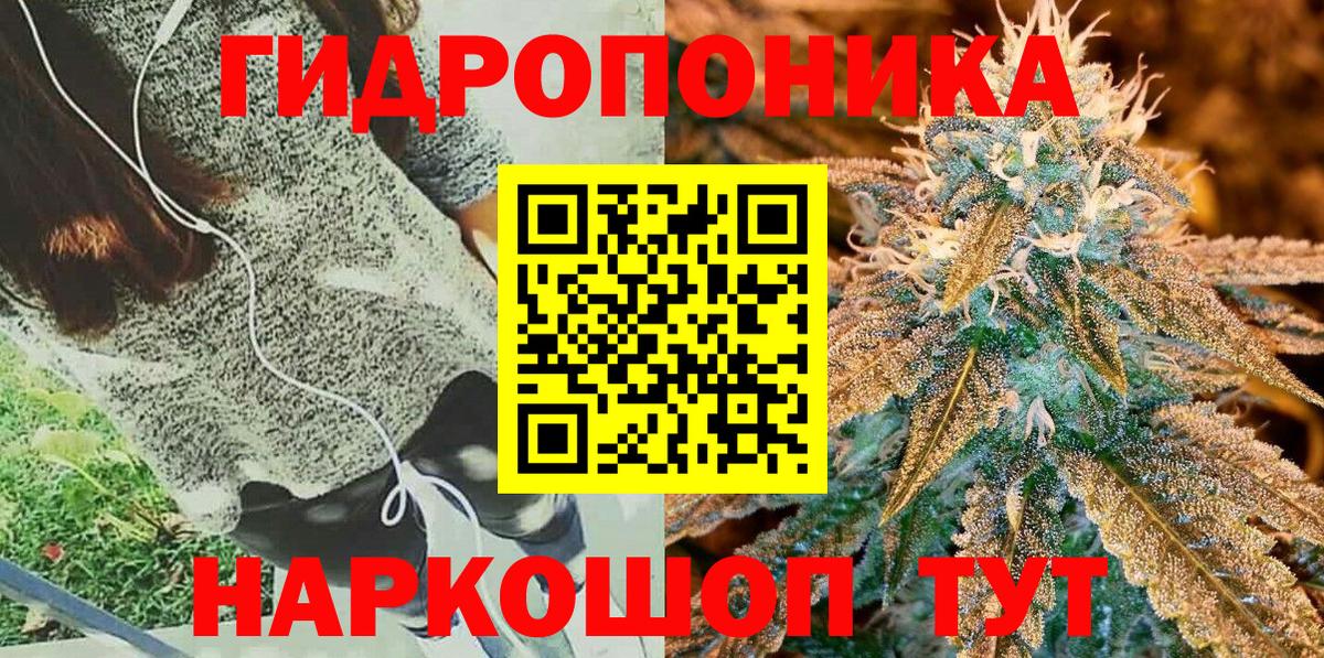 Каннабис SATIVA & INDICA  Бошки Шишки план  Вход с VPN  Нижний Тагил  Бошки марихуана THC 21% 